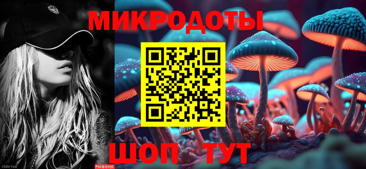 Галлюциногенные грибы Cubensis  Псилоцибиновые грибы Psilocybe  Темрюк 