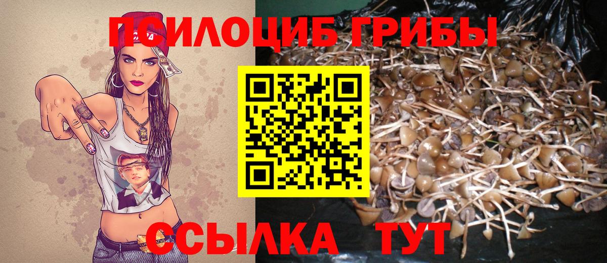 Псилоцибиновые грибы прущие грибы  Вход с VPN  цена наркотик  Темрюк  Псилоцибиновые грибы Psilocybine cubensis 